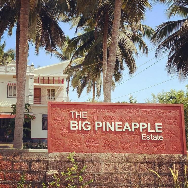 The Big Pineapple Estate Villa Udupi Εξωτερικό φωτογραφία